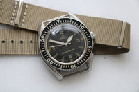 Vintage Omega Seamaster 300 Ref.165.024  c.1966.